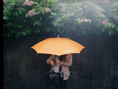 烟雨蒙蒙，Duang~祛湿，您做了吗？插图