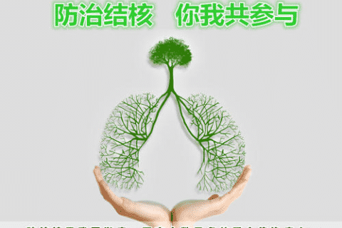 结核病防治知识要点