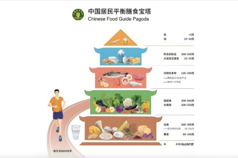健康教育丨合理膳食我行动-高清2024版