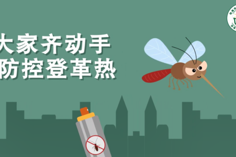 健康教育丨防控登革热科普宣传（一）