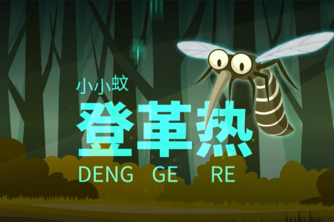 健康教育丨防控登革热科普宣传（三）