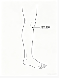 健康教育丨二十四节气之芒种与中医养生