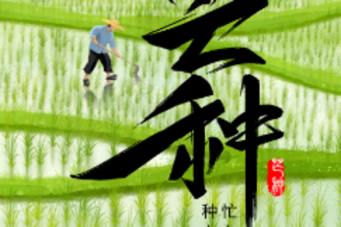 健康教育丨二十四节气之芒种与中医养生